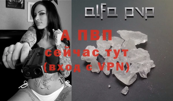 стафф Арсеньев
