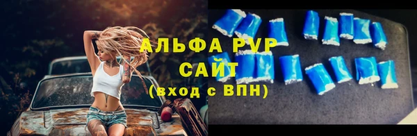 стафф Арсеньев
