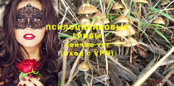 ПСИЛОЦИБИНОВЫЕ ГРИБЫ Балабаново