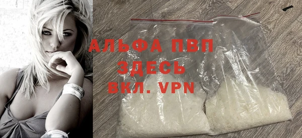 стафф Арсеньев