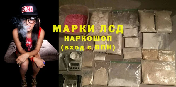 стафф Арсеньев