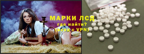 стафф Арсеньев
