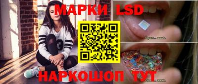 крисы Кулебаки