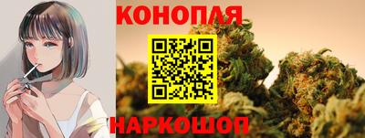 крисы Кулебаки