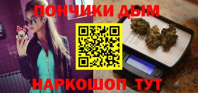 крисы Кулебаки