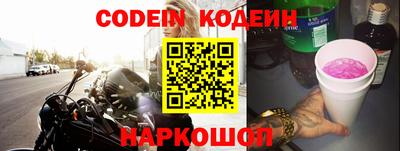 крисы Кулебаки