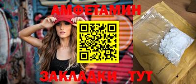 крисы Кулебаки