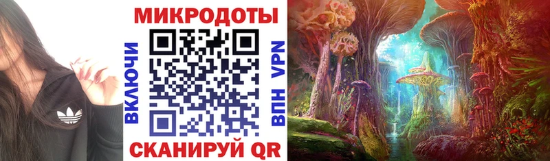 ОМГ ОМГ tor  Ейск  darknet формула  Псилоцибиновые грибы Psilocybine cubensis 