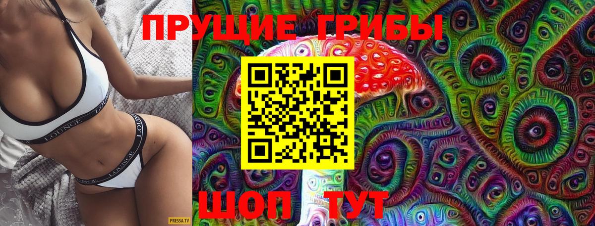 Ейск  Псилоцибиновые грибы Magic Shrooms  Вход с VPN  Псилоцибиновые грибы Cubensis 