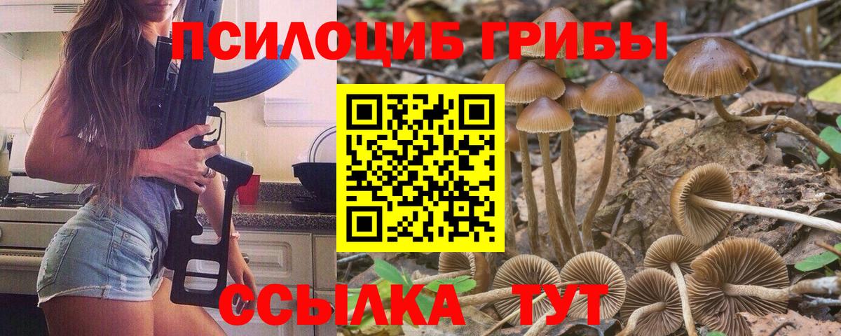 Псилоцибиновые грибы Psilocybine cubensis Ейск
