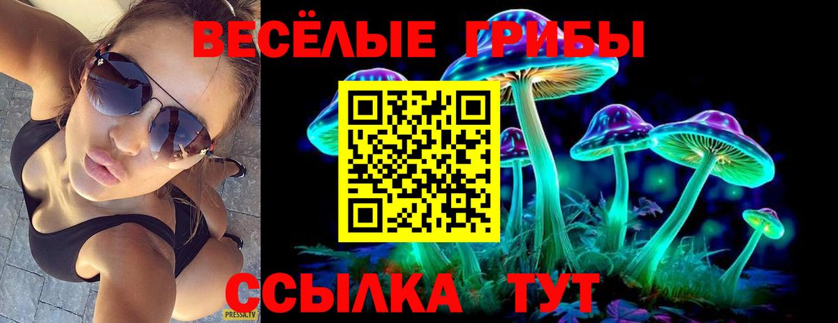  COCAIN Ейск